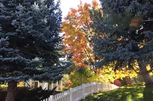 3678 Brighton Way, Reno, NV 89509 - Photo 41