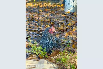 632 Occidental Drive, Dayton, NV 89403 - Photo 25