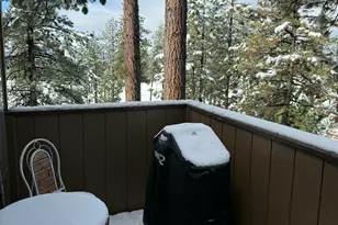 233 Clubhouse Cir, Zephyr Cove, NV 89448 - Photo 19