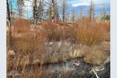 Apn 047 State Route 89, Markleeville, CA 96120 - Photo 51