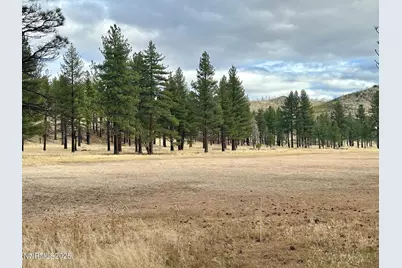 Apn 047 State Route 89, Markleeville, CA 96120 - Photo 47