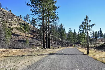 Apn 047 State Route 89, Markleeville, CA 96120 - Photo 9