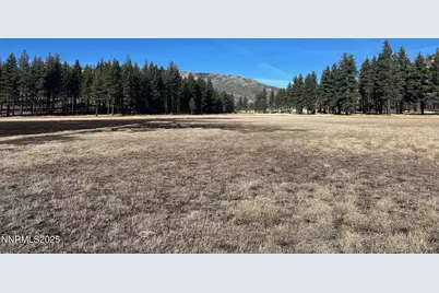 Apn 047 State Route 89, Markleeville, CA 96120 - Photo 21