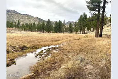 Apn 047 State Route 89, Markleeville, CA 96120 - Photo 45