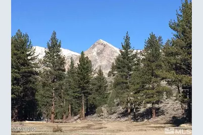 Apn 047 State Route 89, Markleeville, CA 96120 - Photo 11