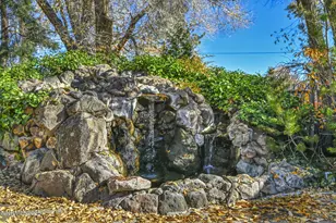 1165 Harvey Ln, Reno, NV 89509 - Photo 41