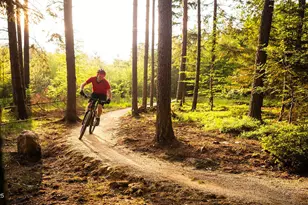 253 Mill Race Lp, Indian Hills, NV 89705 - Photo 37