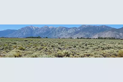 1205 Stephanie Way, Minden, NV 89423 - Photo 3