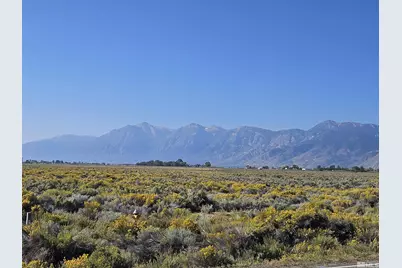 1205 Stephanie Way #57, Minden, NV 89423 - Photo 7