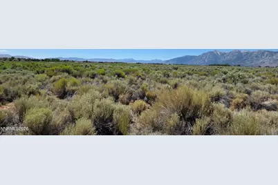 1205 Stephanie Way, Minden, NV 89423 - Photo 9