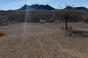 2309 Dalea Ct, Tonopah, NV 89049 - Photo 45