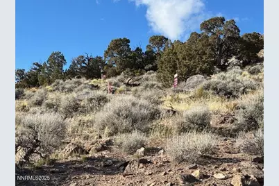 1505 Appian Way, Reno, NV 89510 - Photo 7