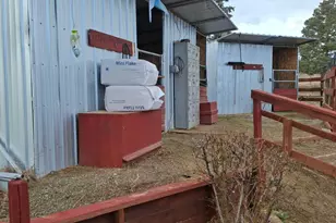 10200 Shiloh Dr, Reno, NV 89508 - Photo 23