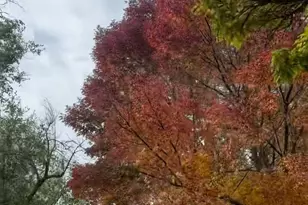 611 Nixon Ave, Reno, NV 89509 - Photo 29