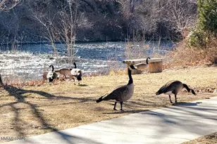 611 Nixon Ave, Reno, NV 89509 - Photo 39