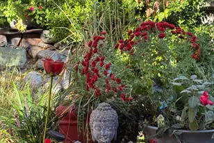 3900 Cashill Blvd, Reno, NV 89509 - Photo 61