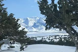 271 Greencrest Dr, Spring Creek, NV 89815 - Photo 87