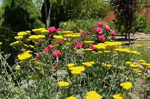 7707 Rhythm Cir, Sparks, NV 89436 - Photo 27