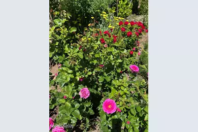 7707 Rhythm Circle, Sparks, NV 89436 - Photo 25