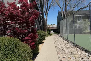 4608 Neil Rd, Reno, NV 89502 - Photo 7