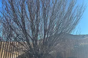 1971 1 Iron Ct, Fernley, NV 89408 - Photo 43