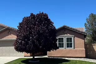 10663 Fort Morgan Way, Reno, NV 89521 - Photo 1