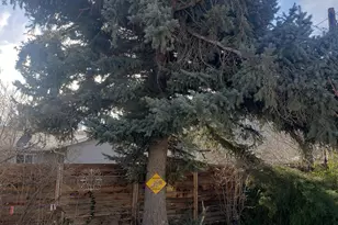 813 W 5th St, Carson City, NV 89703 - Photo 29