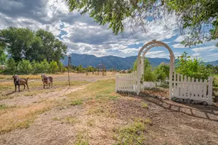 1238 Centerville Ln, Gardnerville, NV 89460 - Photo 59