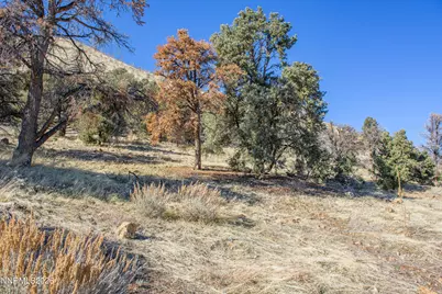 3221 Reese Lane, Gardnerville, NV 89410 - Photo 31