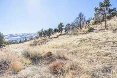 3221 Reese Lane, Gardnerville, NV 89410 - Photo 37