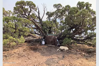 00 Microwave Road #2, Reno, NV 89510 - Photo 19