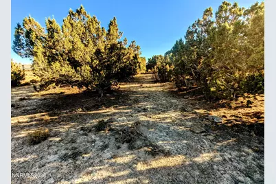 0 Twelvemile Cyn Road, Montello, NV 89830 - Photo 3