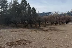 1199 Manley Ln, Round Mountain, NV 89045 - Photo 17