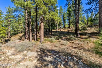 1205 Douglas Fir Drive, Reno, NV 89511 - Photo 19