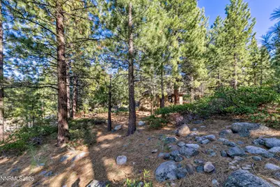 1205 Douglas Fir Drive, Reno, NV 89511 - Photo 23