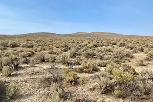 07045204 Near Valmy Rd, Valmy, NV 89438 - Photo 1