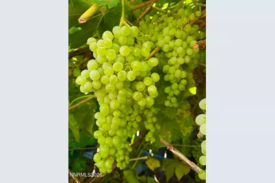 4301 Pinnacle Vista Court, Sparks, NV 89436 - Photo 45