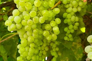 4301 Pinnacle Vista Ct, Sparks, NV 89436 - Photo 45