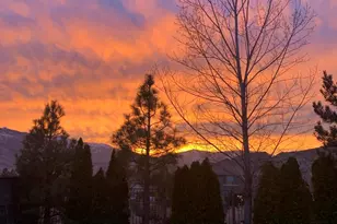 325 Jackson Springs Dr, Reno, NV 89523 - Photo 43