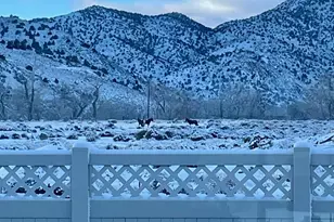 313 San Roma Dr, Dayton, NV 89403 - Photo 35