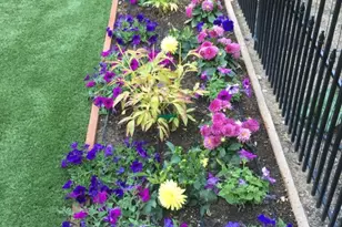 1641 Crescent Pointe Way, Reno, NV 89523 - Photo 45