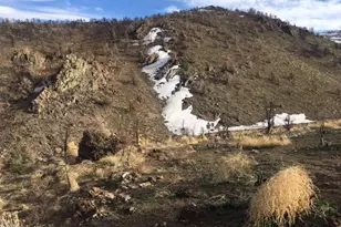 8522 Pinenut Creek Rd, Gardnerville, NV 89410 - Photo 5