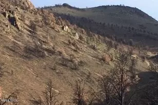 8522 Pinenut Creek Rd, Gardnerville, NV 89410 - Photo 19