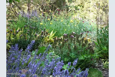 4055 Plateau Road, Reno, NV 89519 - Photo 59