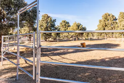 465 Upper Colony Road, Wellington, NV 89444 - Photo 27