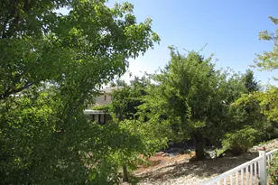 2495 Taylor Way, Carson City, NV 89703 - Photo 31