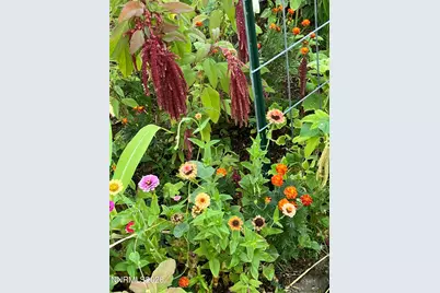 1371 White Bluffs Circle, Fernley, NV 89408 - Photo 33