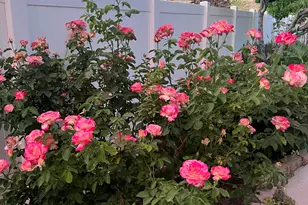 1371 White Bluffs Cir, Fernley, NV 89408 - Photo 35