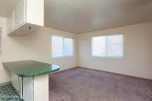 1060 Wilson Ave, Reno, NV 89502 - Photo 5