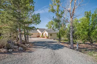 1568 Barker Ct, Gardnerville, NV 89410 - Photo 51